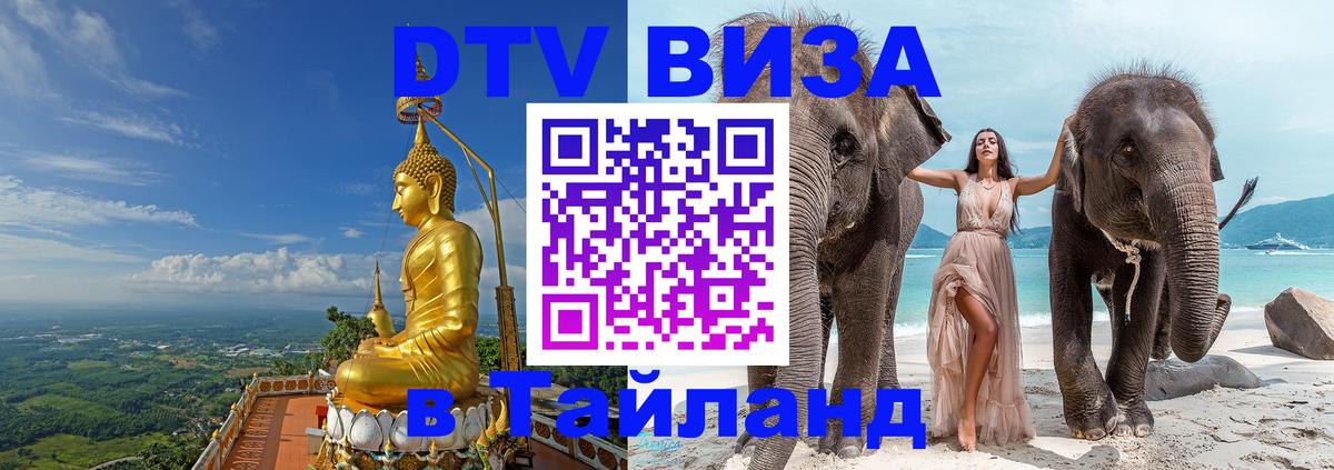 Оформление DTV визы под ключ: стоимость и тарифы, только загранпаспорт - 18.11.2025 